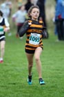 Green 1095, North East Harrier League, Sunderland
